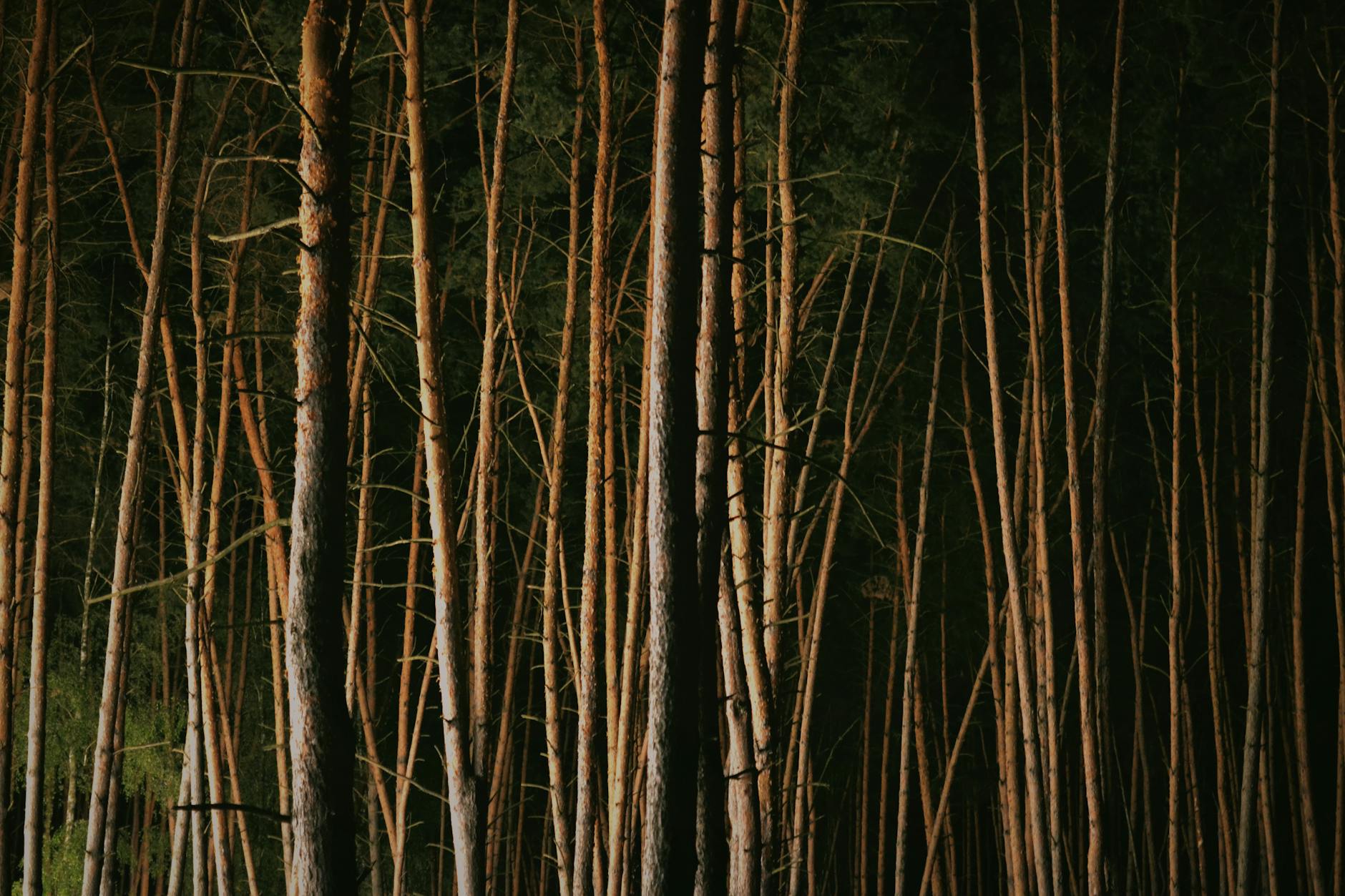 In a twist, something terrible happened to the Confederate soldiers after a